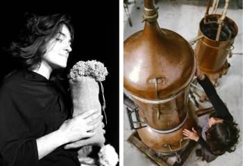 Artiste olfactive (distillation, culture olfactive et mise en scène olfactive) et marionnettiste