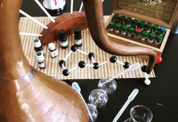 Atelier initiation à l'art du parfumeur