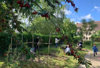 Accompagnement de jardin pédagogique à l'année